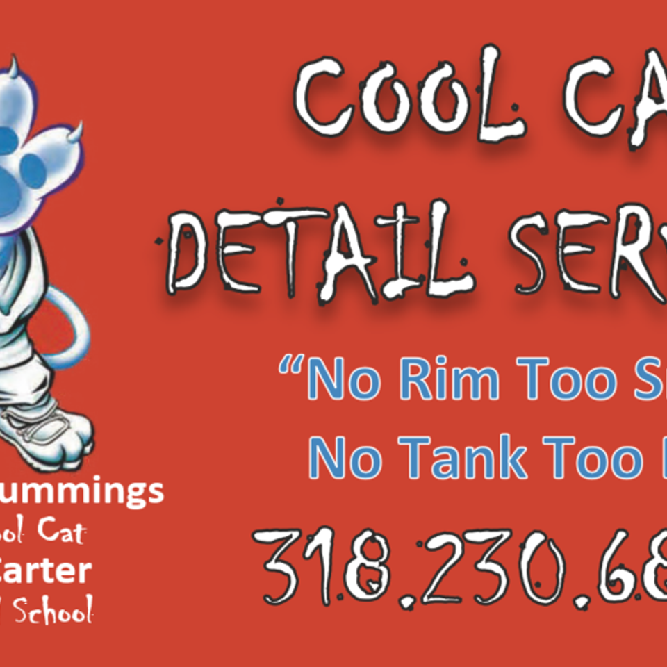 Cool cat20150519 13019 1kx92fl