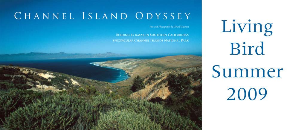 Ci odyssey 200920121203 1865 1gd1gzn 0