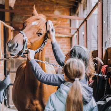 Horse Care