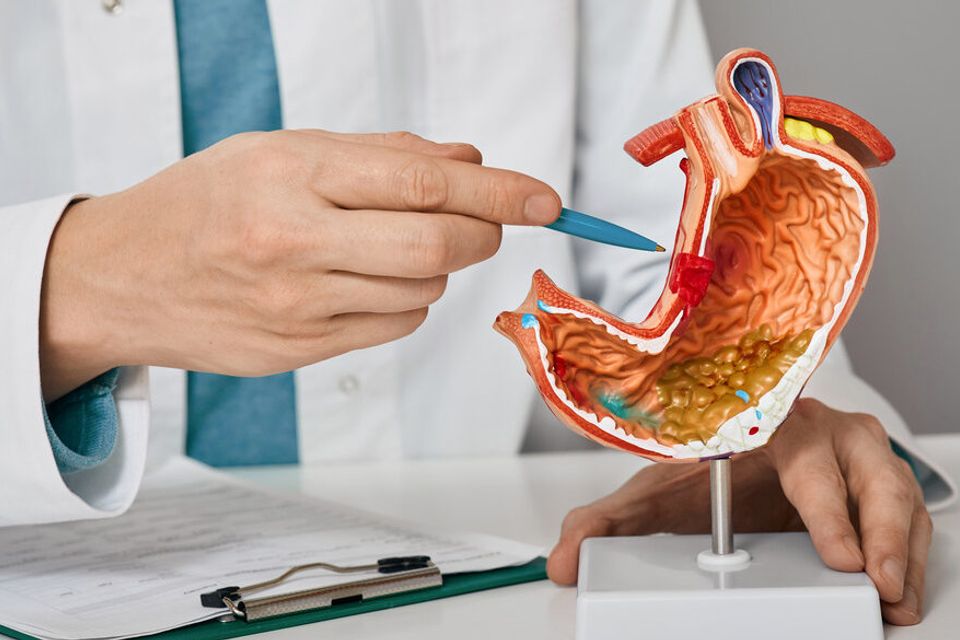 Proctologist vs gastroenterologist 1024x585