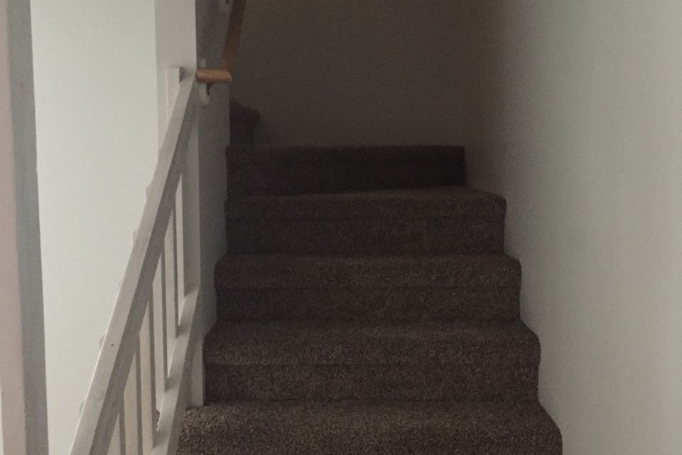 Img 0597