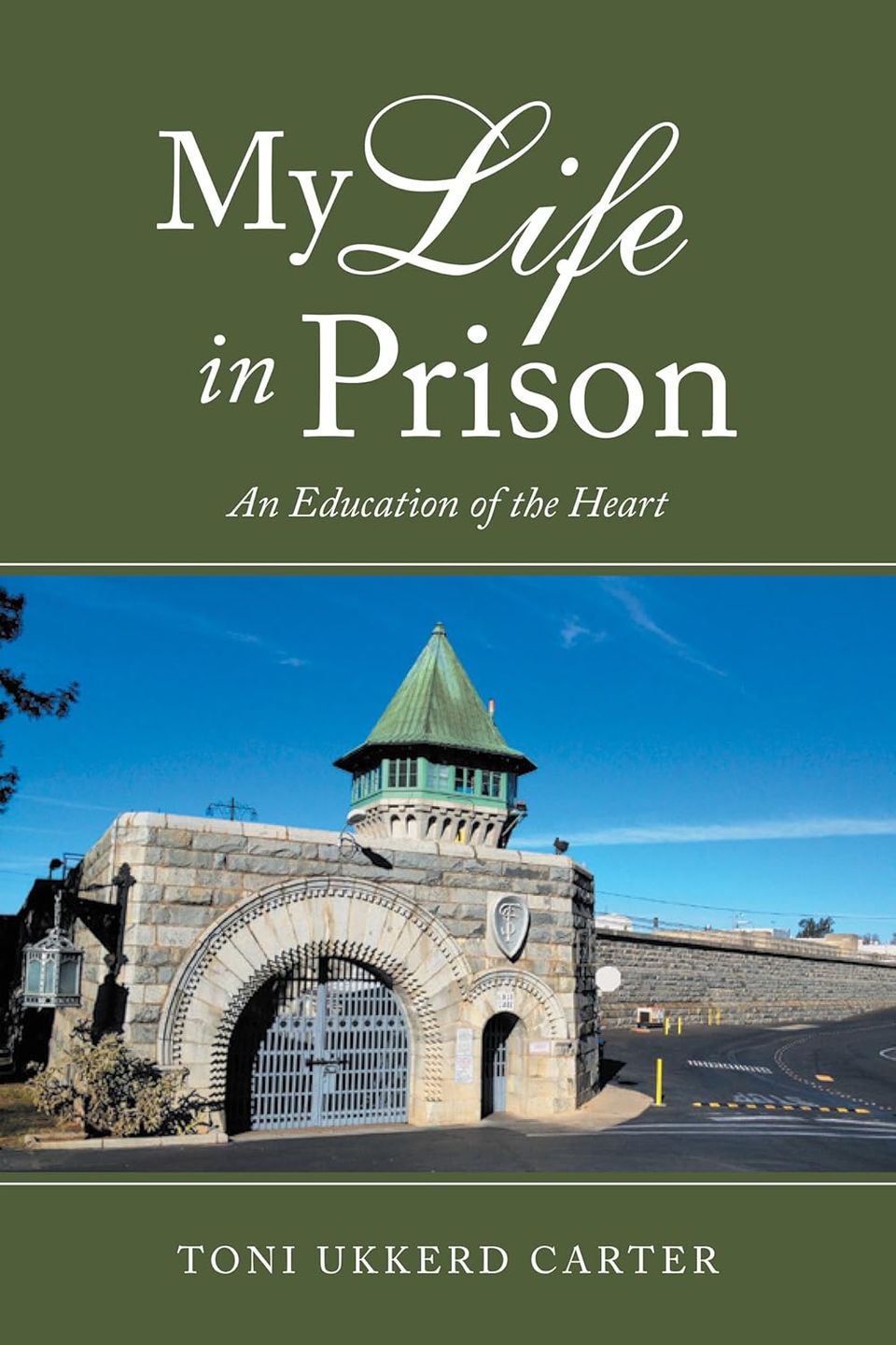 Mlip   book cover