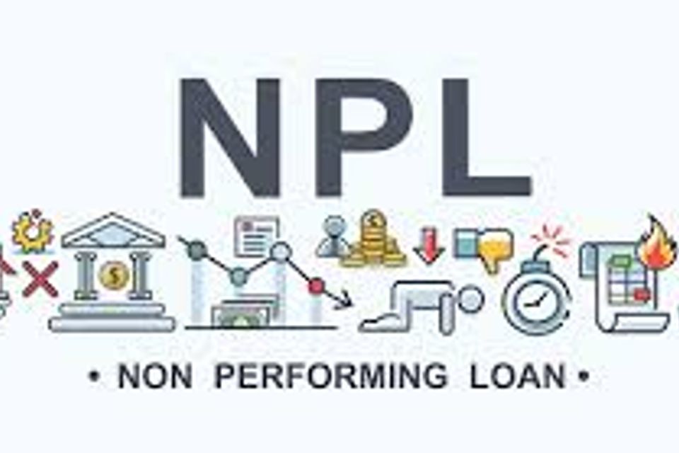 Non performing loans.jpeg 18