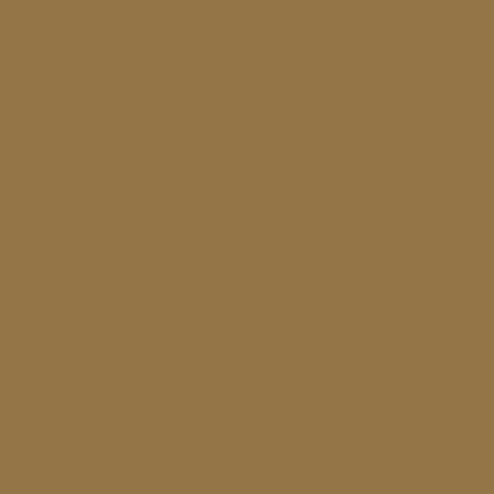 022 buckskin brown