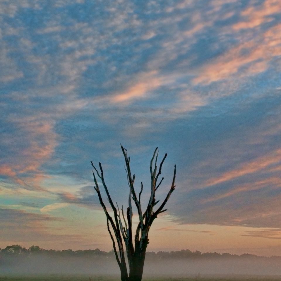 Rc dawn light3 