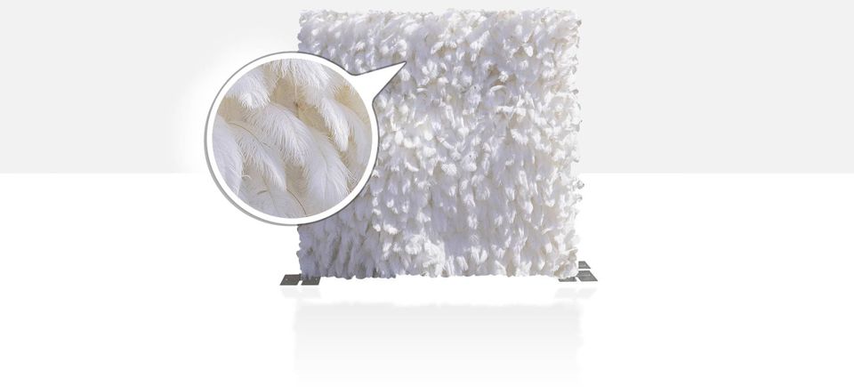 White feather wall
