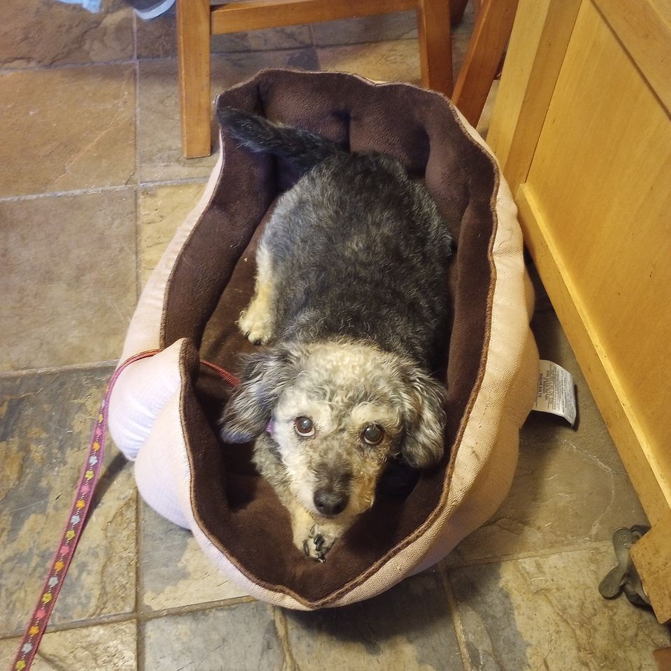 Img 20231011 165213467