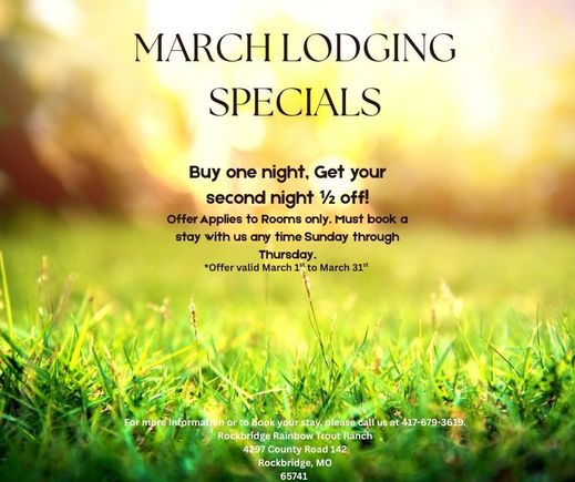 Green and yellow hello spring positive facebook post