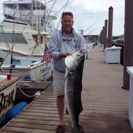 Man on dock holding huge striper