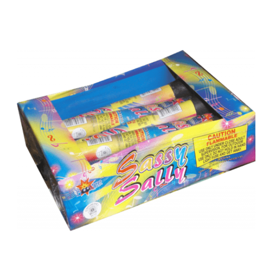 Saasy sally cv