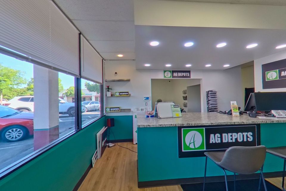 Pano zoom (3)