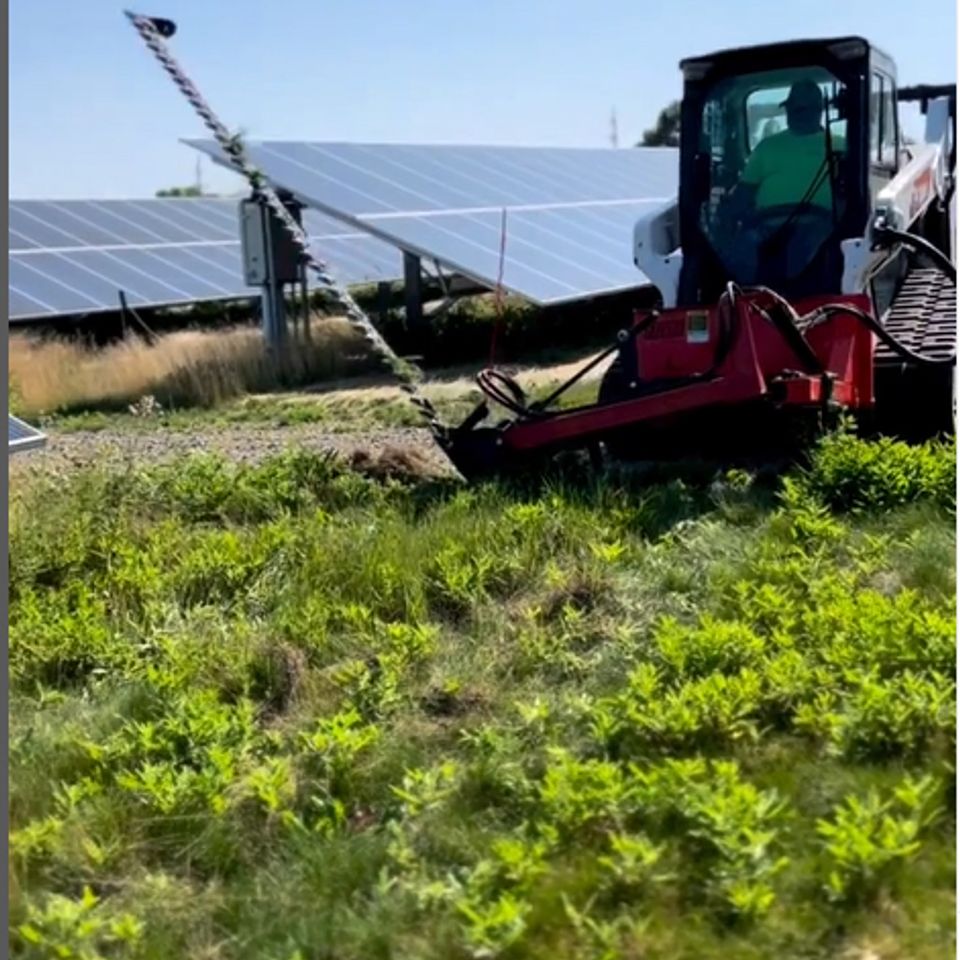 Grass cutter