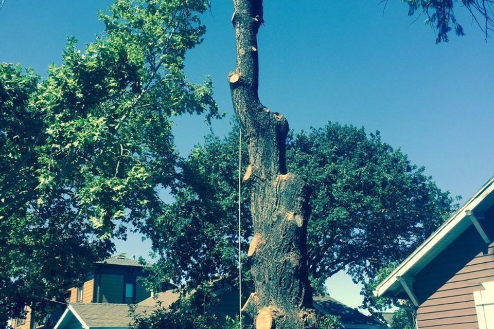 9828e146509b0c73f2ed4668d1824f5320180306 20439 1g7yz4o