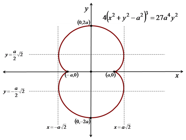 Nephroid