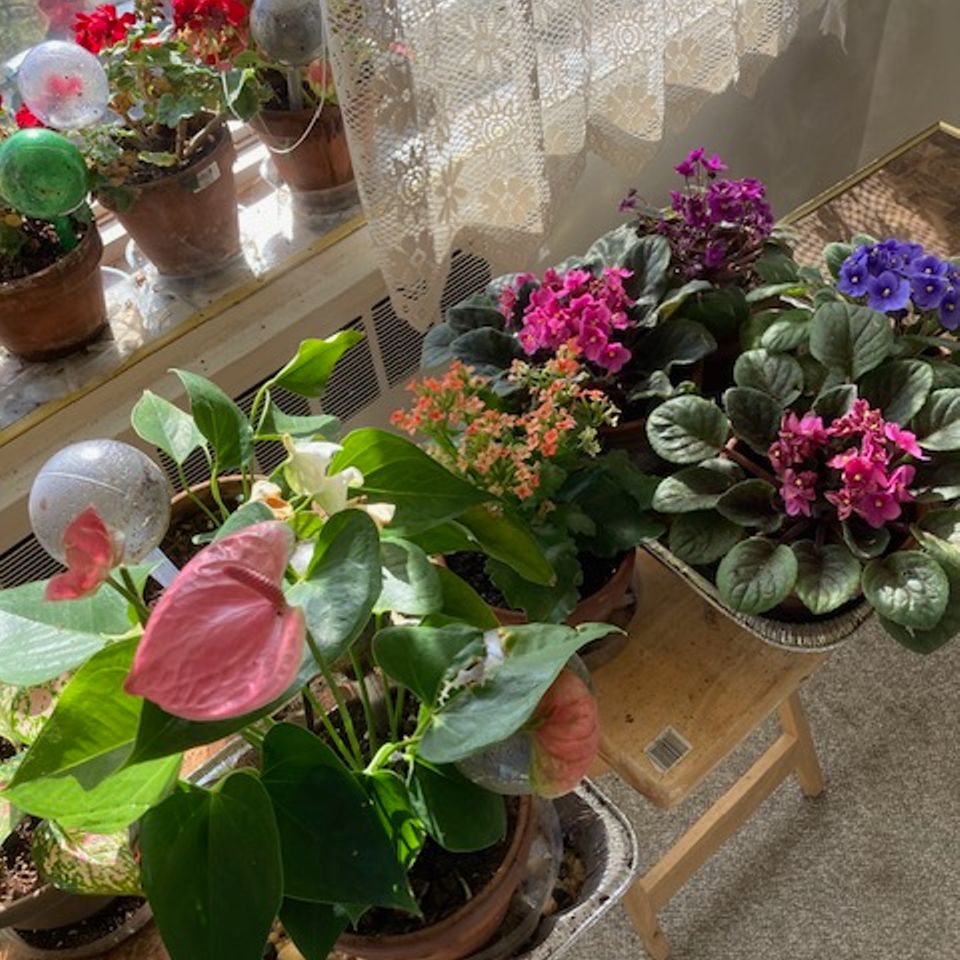 Image7