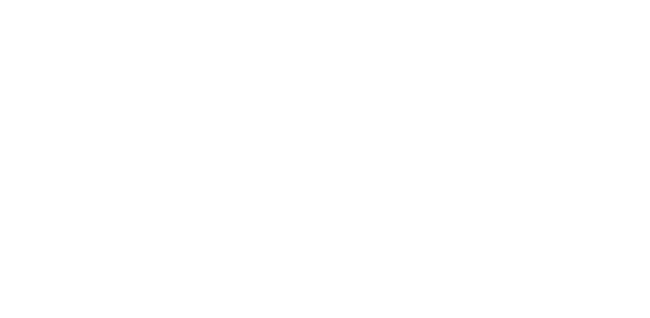 Little city white logo