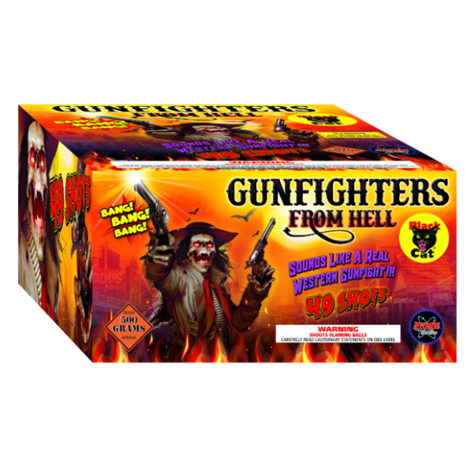 Gun fighters cv