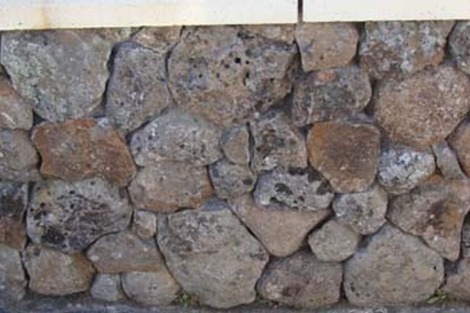 Dsc0040620160317 28051 1ya9g07