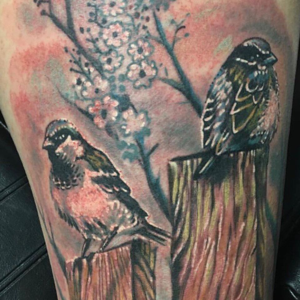Adrian birds on post