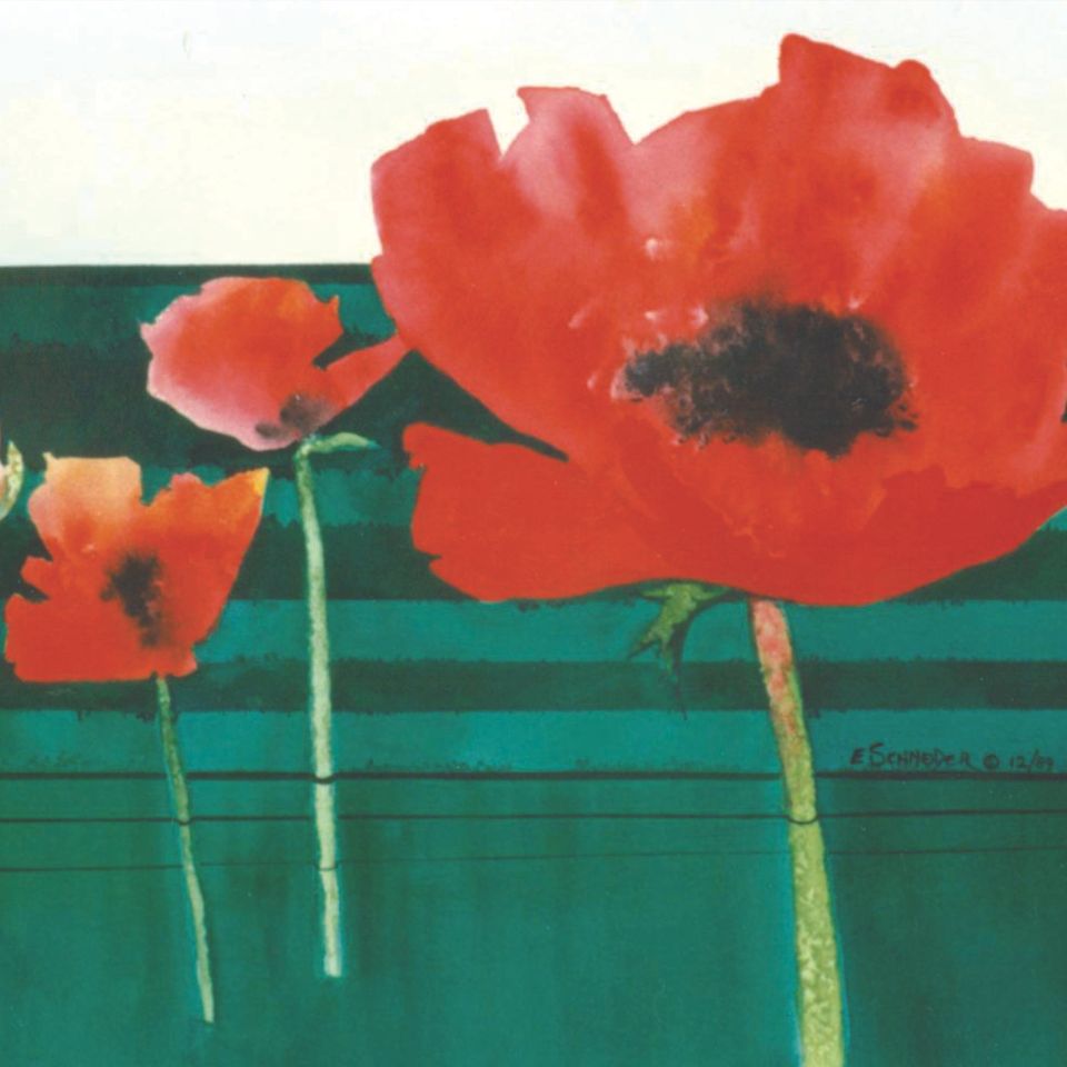 Strung out poppies lg