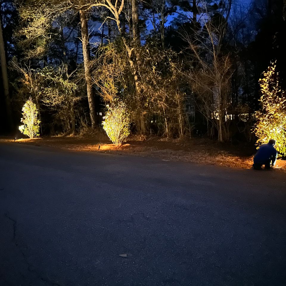 Img 0012