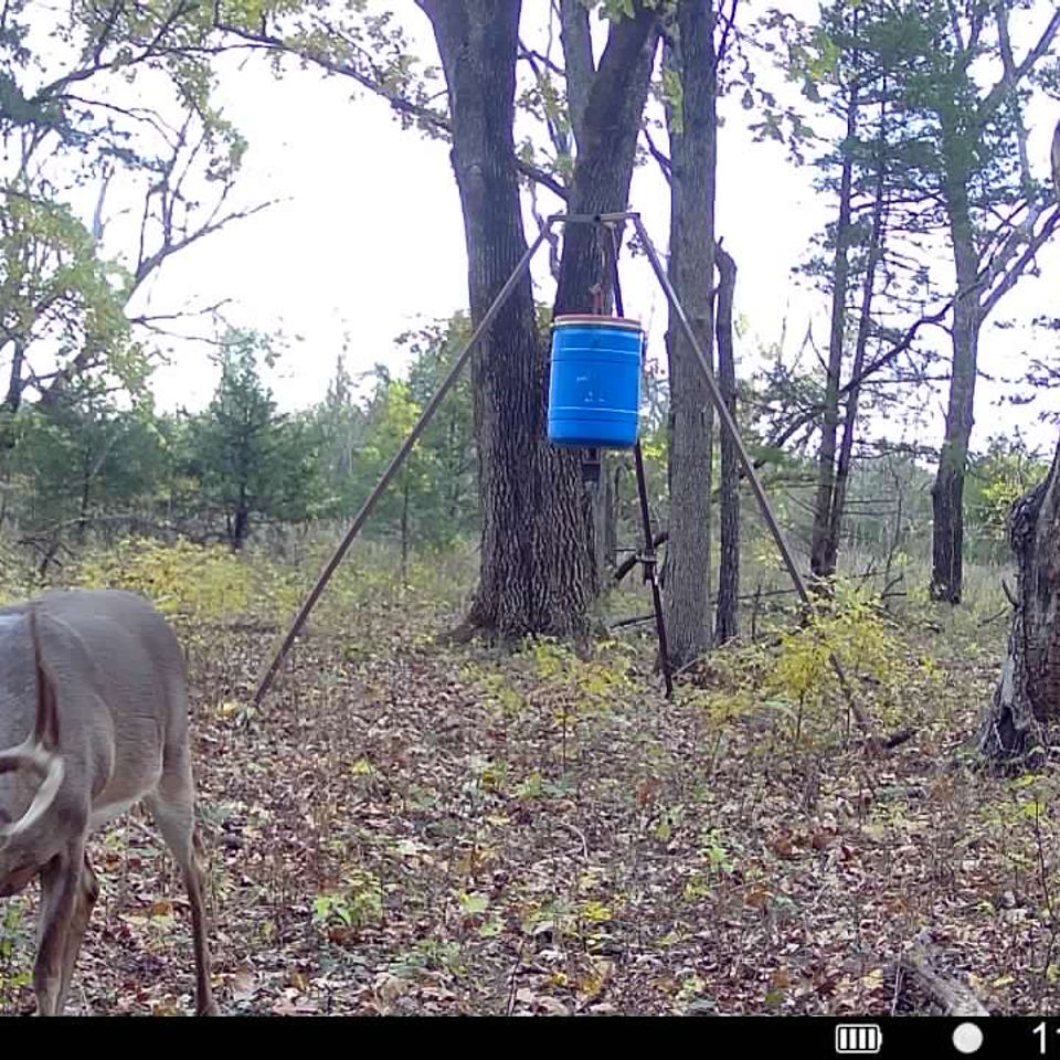 016579000901988 100 3 11062025073231 syfw01997