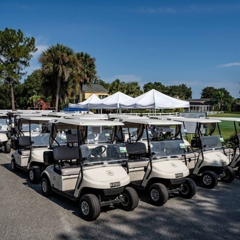 Carts x435