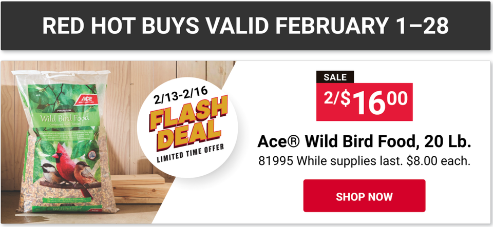 Screenshot 2026 02 04 at 10.48.29 am