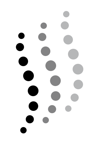 Dr. Roman Aulov Williamsbridge Chiropractic 