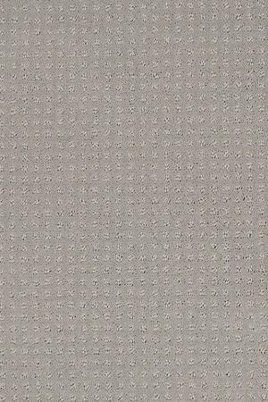 Loyal beauty pattern   sheer silver  4.49