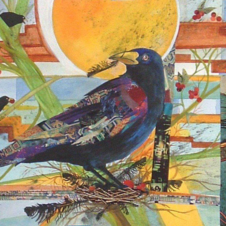 Nest feathers