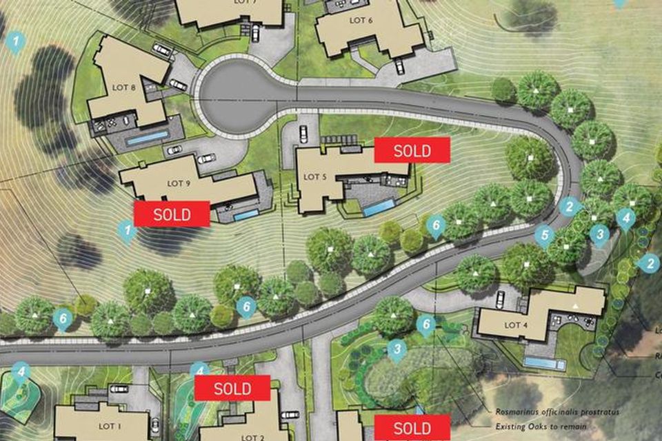 The nines subdivision