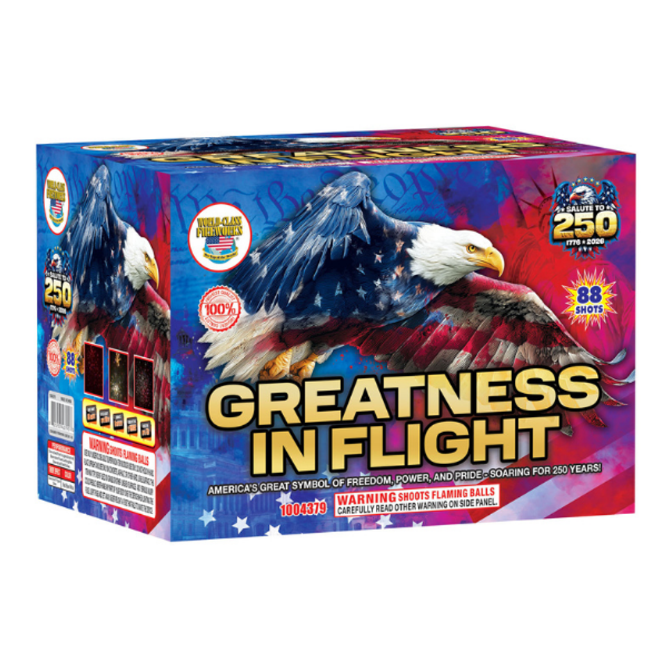 Greatness in flight cv