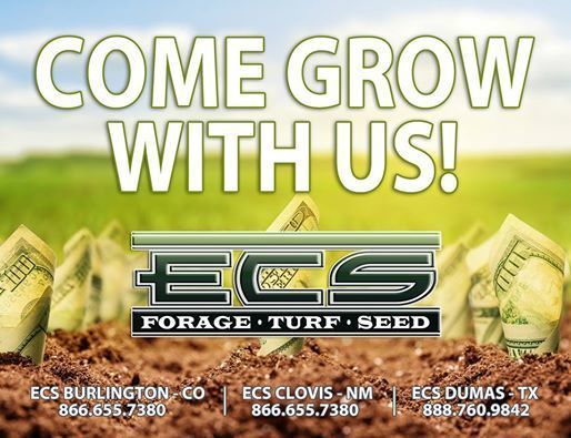 Come Grow with US at ECS - Job Opportunities flyer