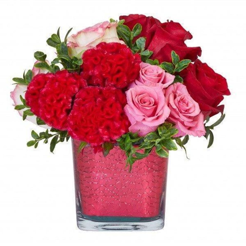Valentines3