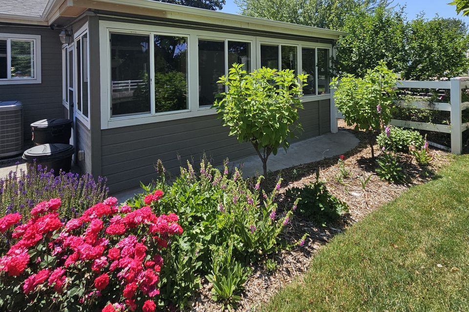 Landscaping 2