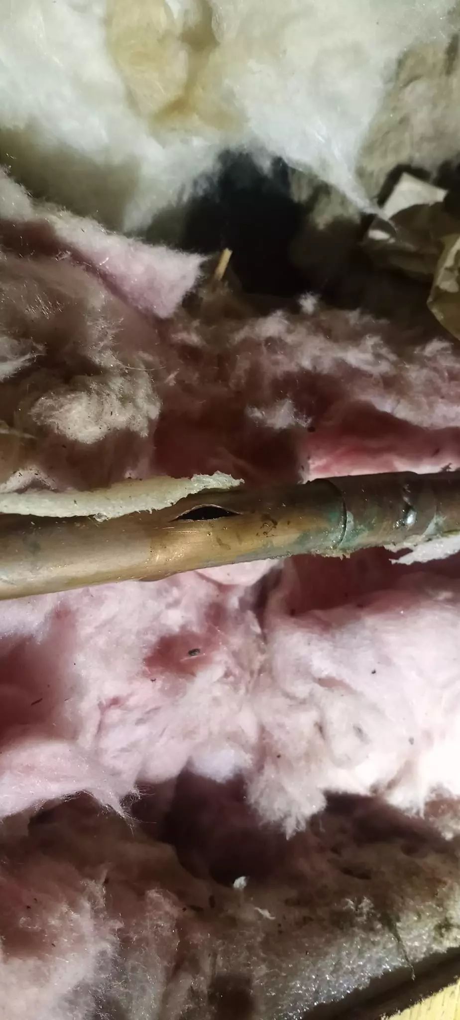 Worth leak detection services