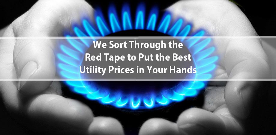 Natural gas suppliers
