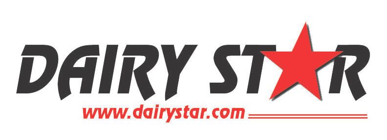 Ds logo clean