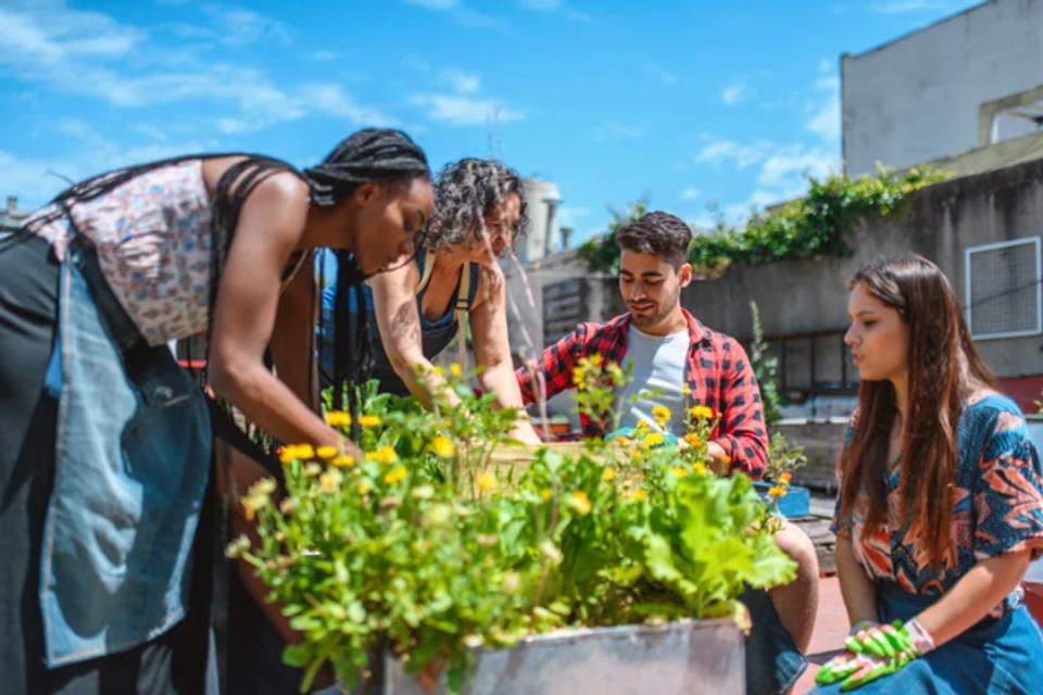 Screenshot 2025 11 09 at 1.59.59 pm