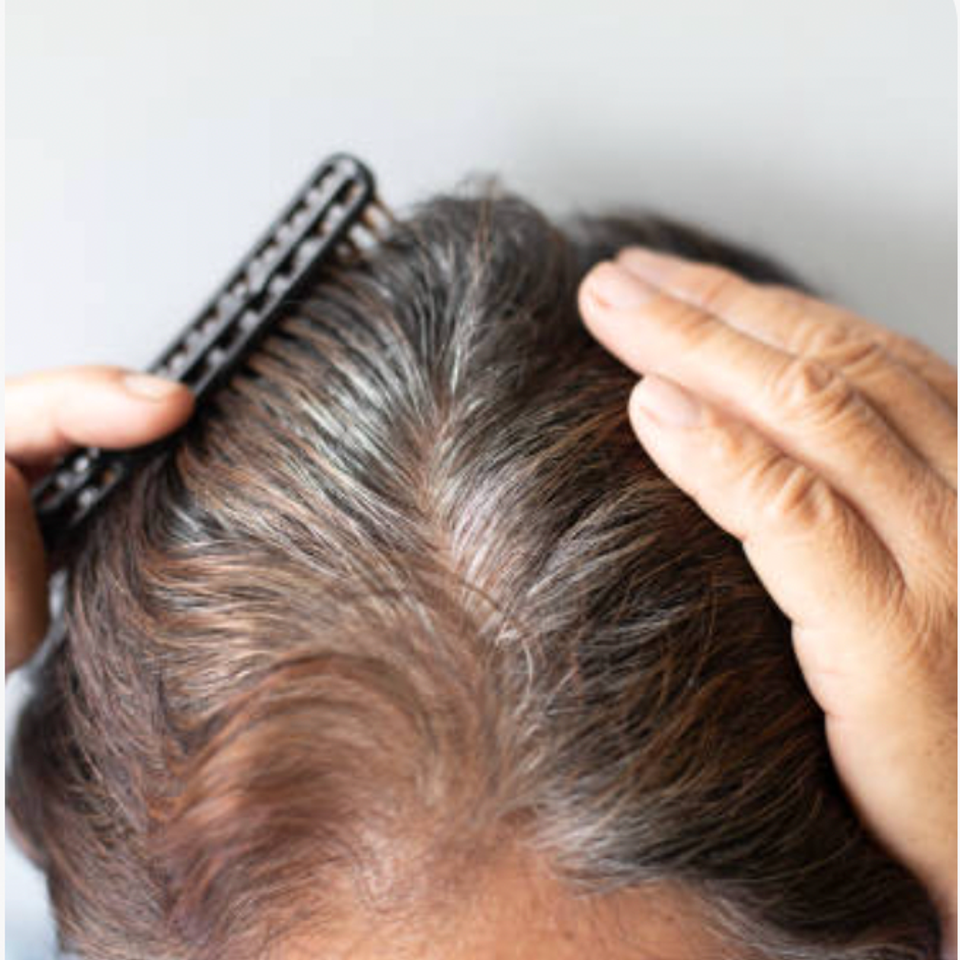 Screen shot 2025 12 30 at 12.25.19 pm