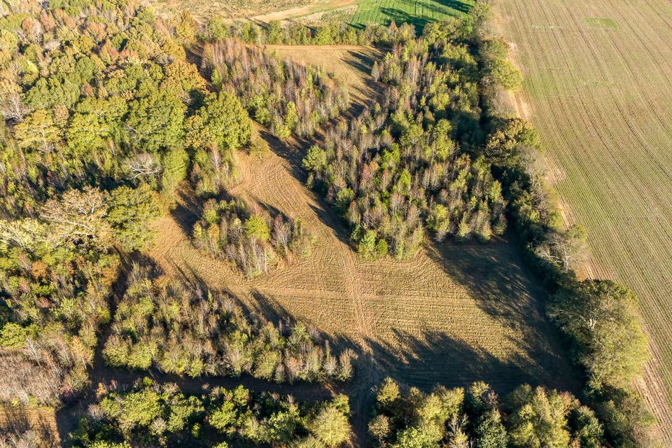 20 web or mls 35 county line rd s   clear lens real estate photography 20