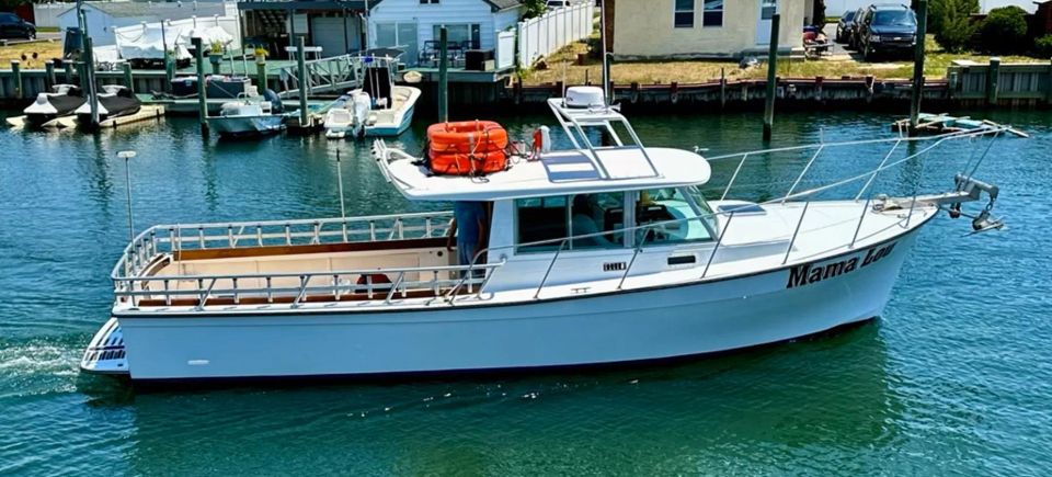 Frontpage mamalou 2024 1