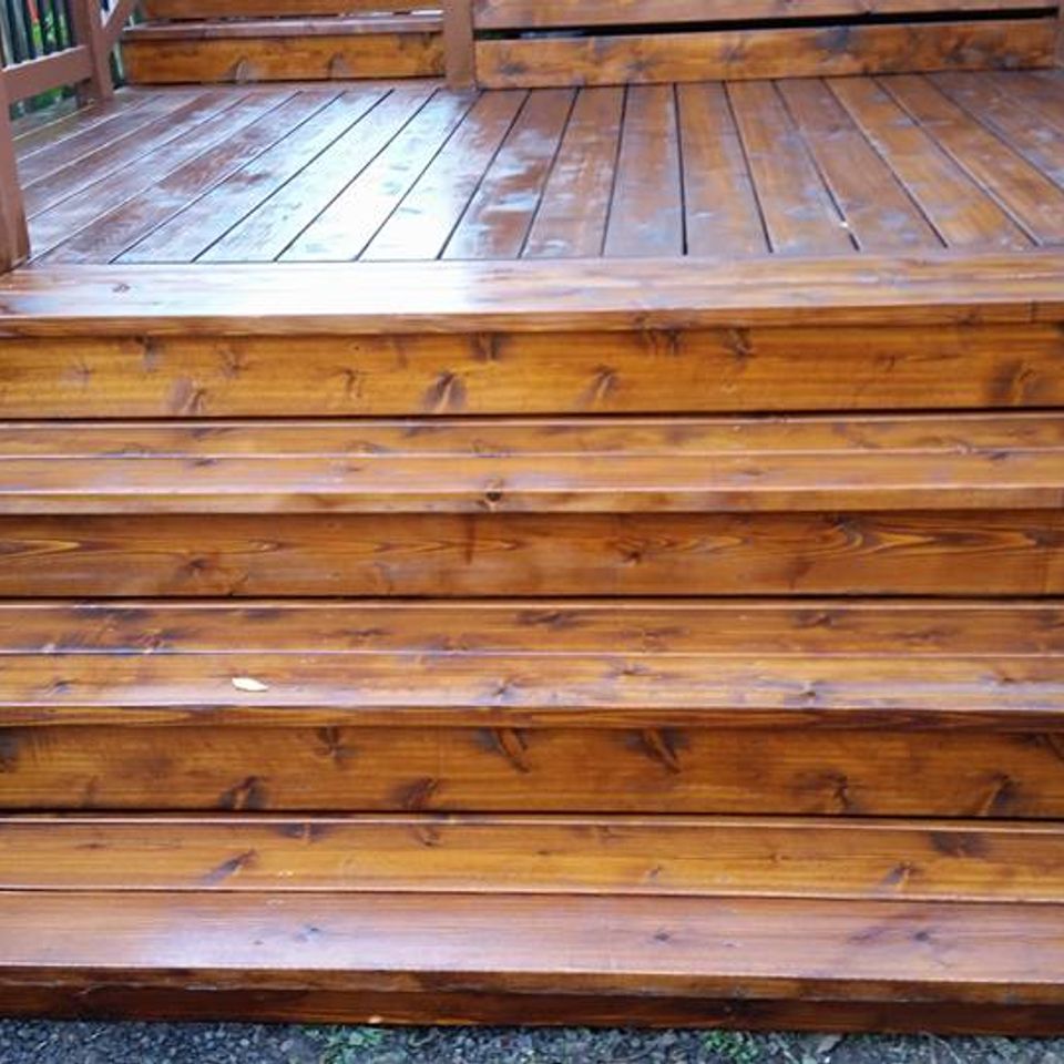 23031455 926563234176348 4251782026084083440 n