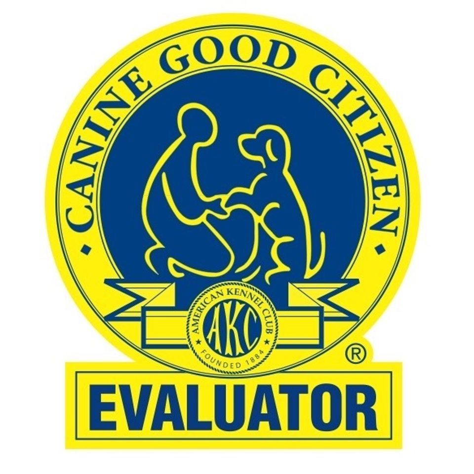 Eval logo for their web pages