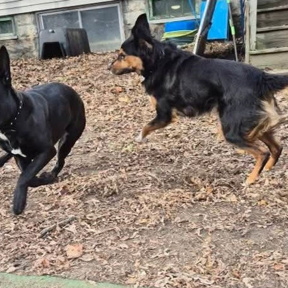 Fb img 1769435303369