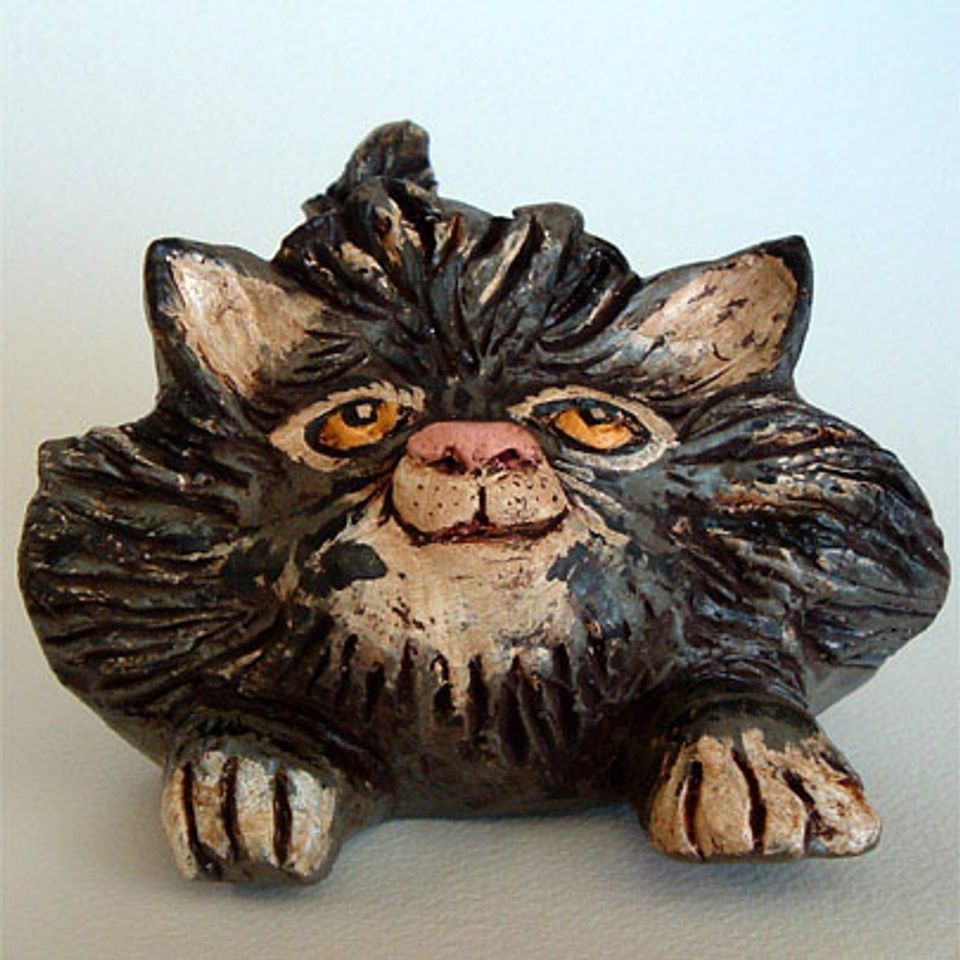 Darkgray cat