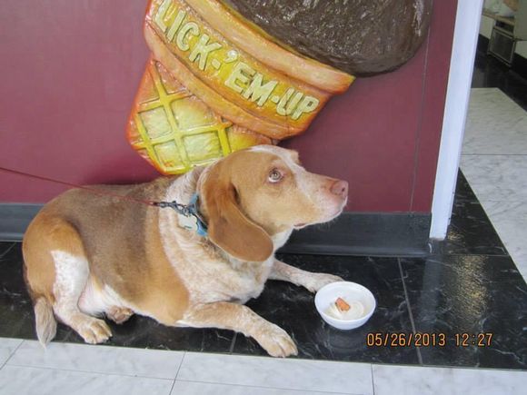 Cooper posing with pup cup