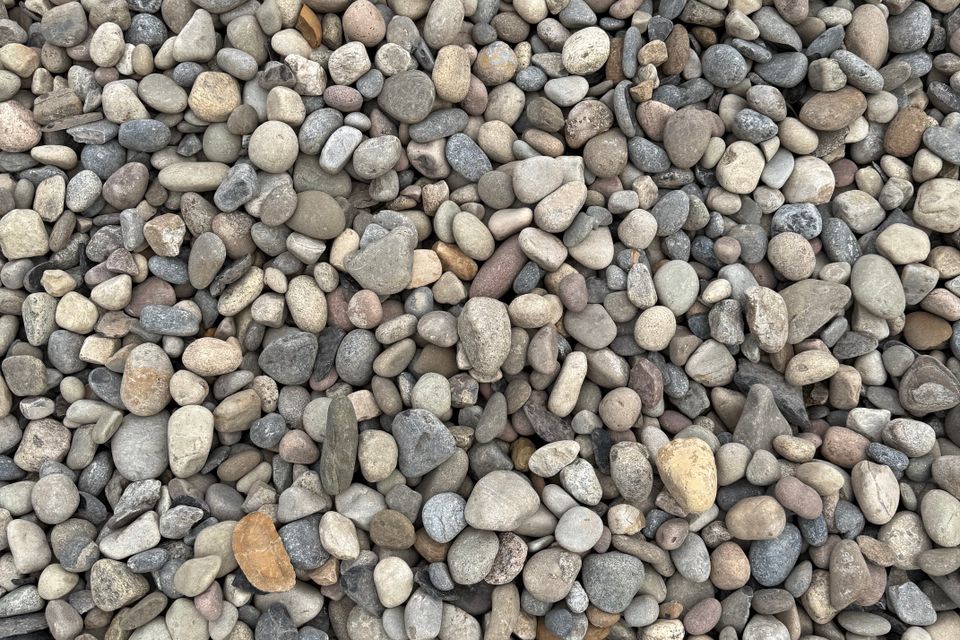 Img 0015