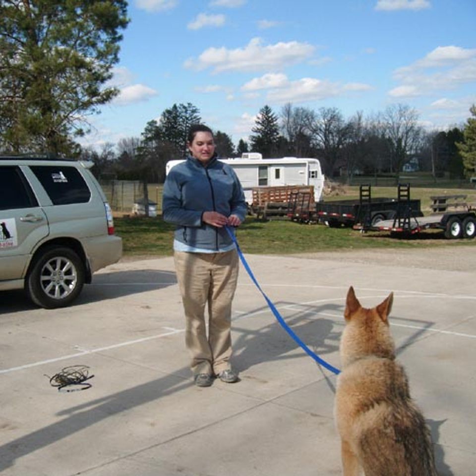 short leash walk